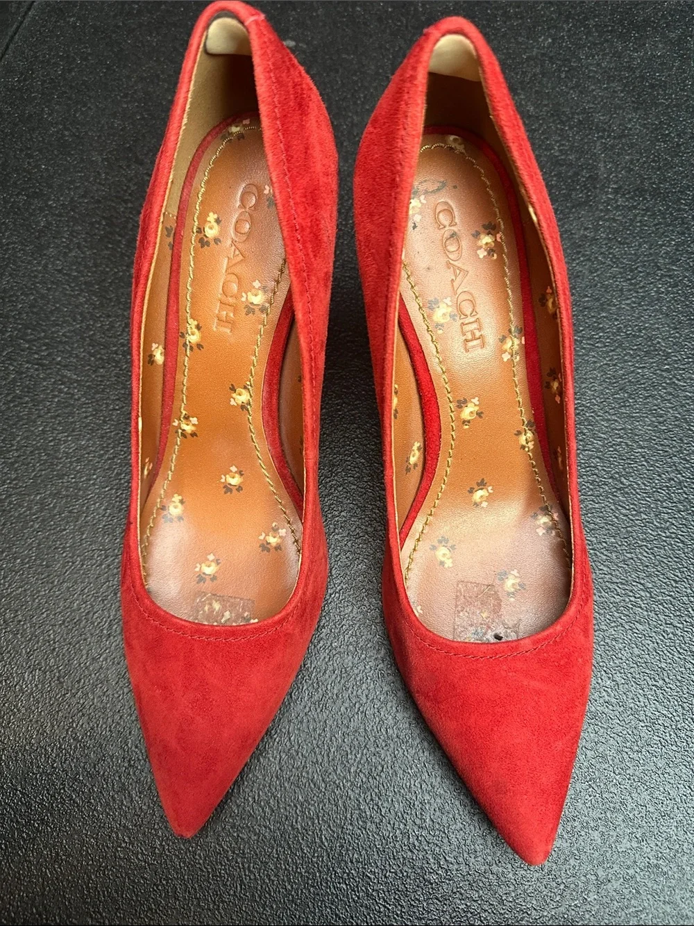 Coach Classic lipstick Red Suede Pointed-Toe Pumps